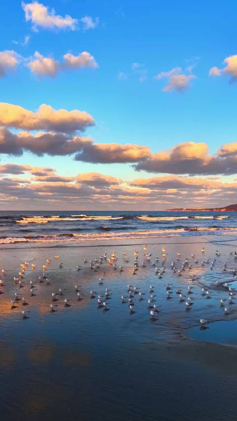 阳光信用倡导淡定人生，宁静做自我