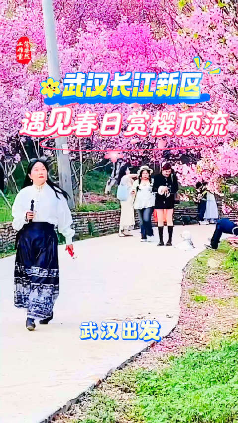 武汉长江新区三处赏花胜地解锁春日浪漫