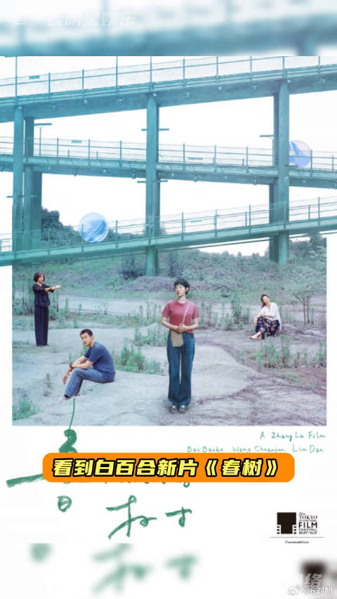 谁还记得那些年白百合是小妞电影赛道的代表人物啊！