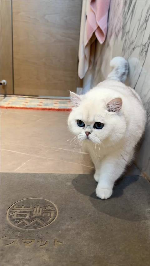 我和晚晚洗澡的大型吵架现场