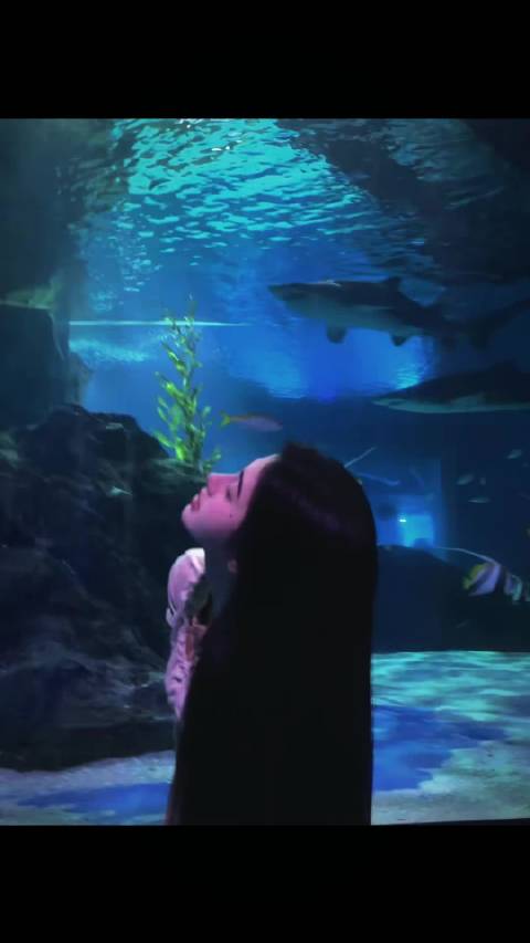 粉丝深情告白鞠婧祎，追忆2018年芸汐传与红昭愿初遇