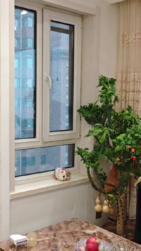 总以为自己从小就是内向的性格，现在才发现，我只是喜欢内心的宁静