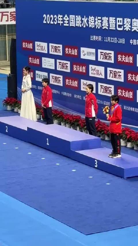 全红婵带伤出战207c斩获全场最高分