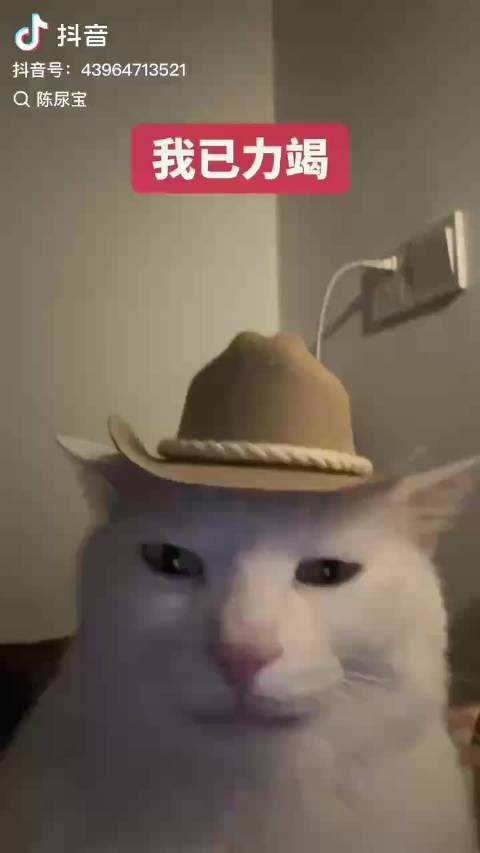 那英工作室直拍