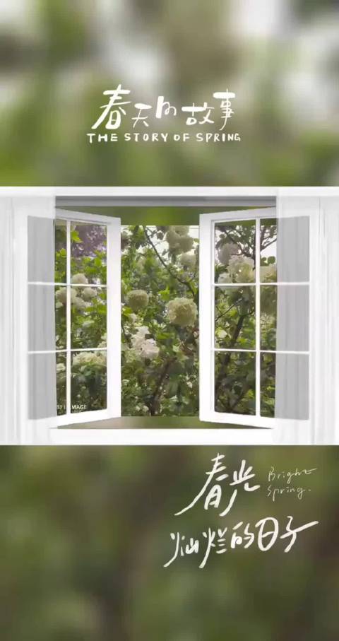 何润东演绎经典角色项羽引热议，绣球花春日绽放引行人驻足