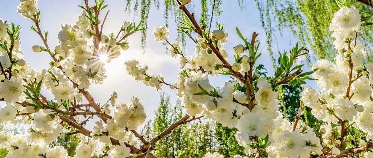 胡歌与燕京啤酒双向奔赴,讲述“春分”故事