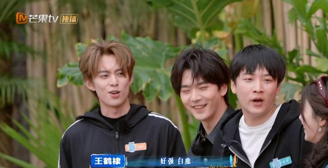 秦岚才是团队的“定海神针”，比王鹤棣还靠谱