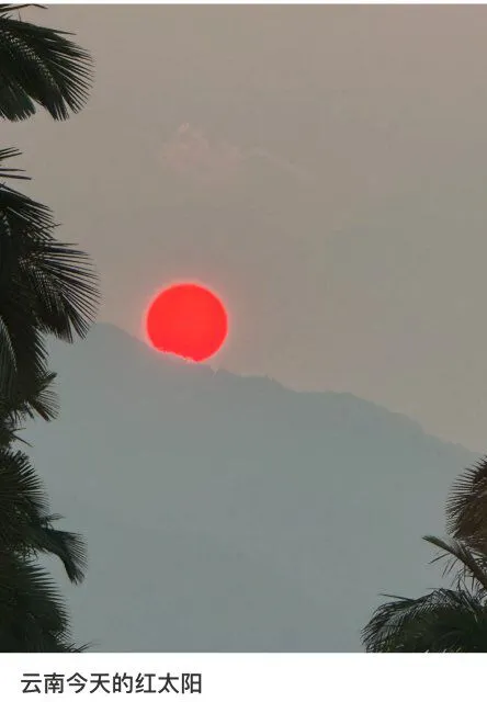 2025年网友社交媒体截图