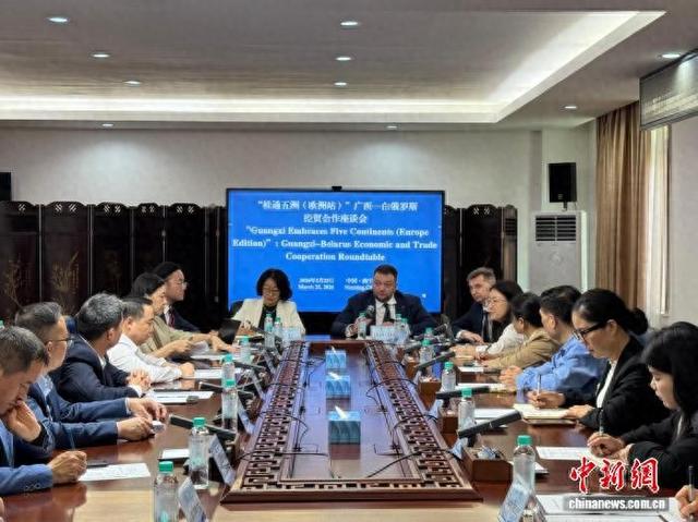 图为座谈会现场。广西贸促会供图