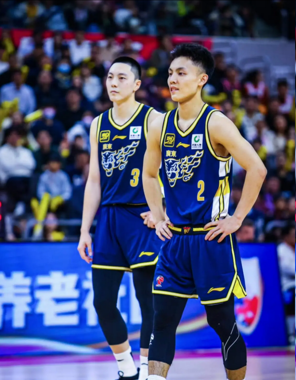 徐杰胡明轩打四川队也低迷，杨鸣评价广东队没错，需回归各自角色