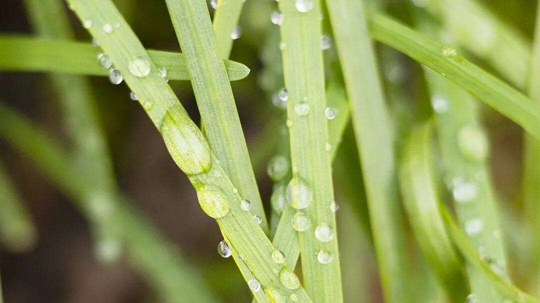 QQ阅读|春雷一响，万物破土向新生