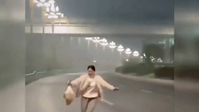 一只大鹅从货车意外掉落被女子捡到，从此开启了它传奇的一生！