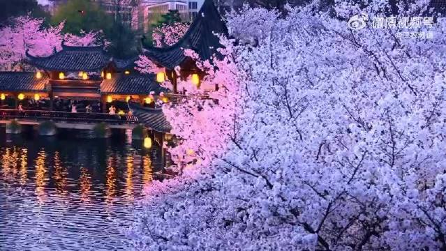 杭州梦溪苑直接把宋代画作中的春日搬进了现实