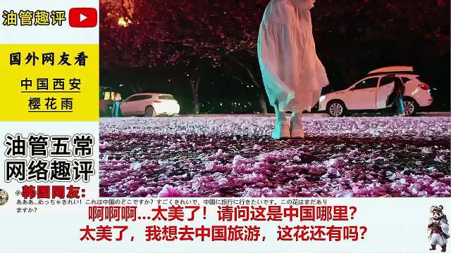西安樱花雨惊艳外网，古城红墙花瓣纷飞引海外网友赞叹