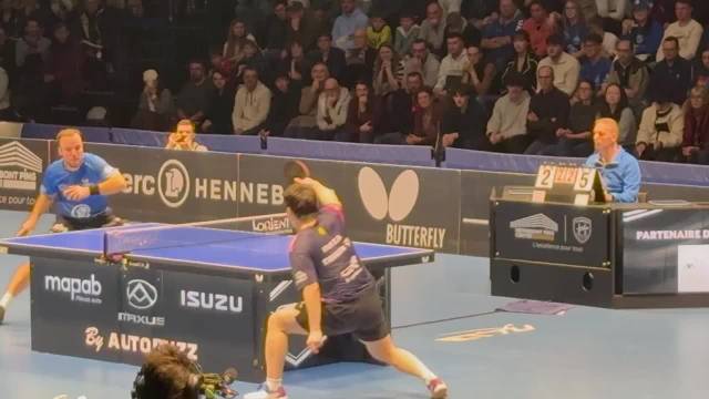 樊振东缺席伦敦团体世乒赛引关注，王励勤被呼吁公开沟通详情