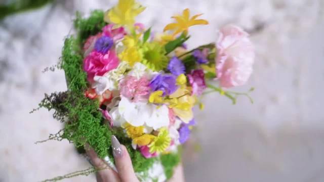 唐艺昕加盟乘风破浪，祺贵人舞台回归