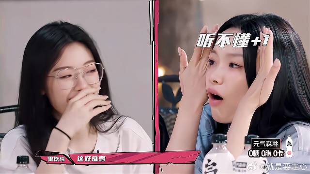 宋雨琦讲抓鸭子玩法 给刘伯辛说懵，小小脑袋大大疑惑！