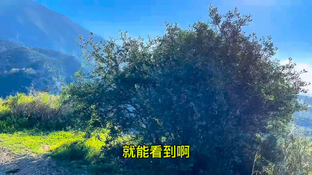 西班牙后山徒步遇悬崖水库，恐高游客赞治愈风景