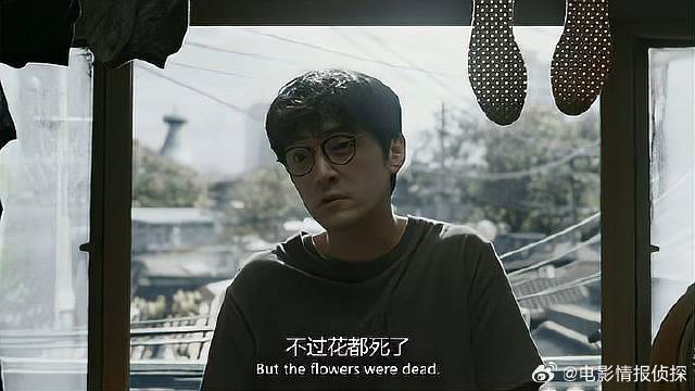 冰箱当柜子水壶种花 电视用来照镜子，胡歌也太文艺了