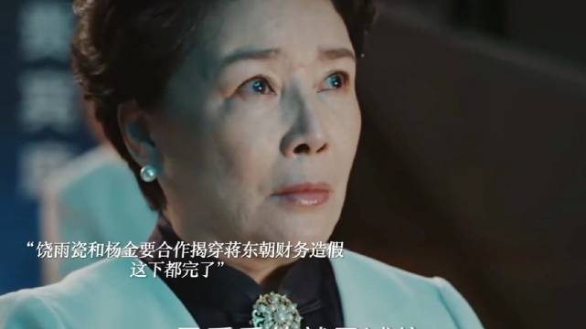 饶雨瓷在历森融资大会上揭穿蒋东朝财务造假！