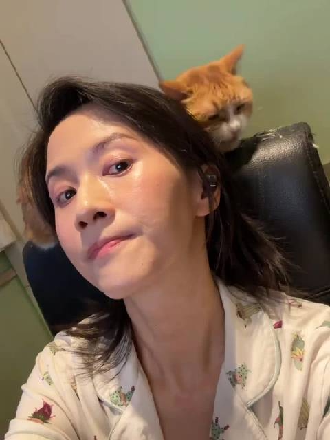papi酱携小咪出镜，记录猫咪日常