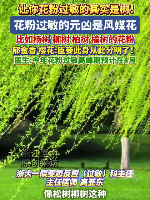 李现花粉过敏医生称元凶为风媒花