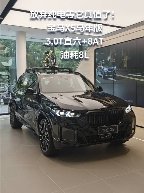 放弃纯电等它真值了！宝马X5马年版，3.0T直六+8AT，油耗8L