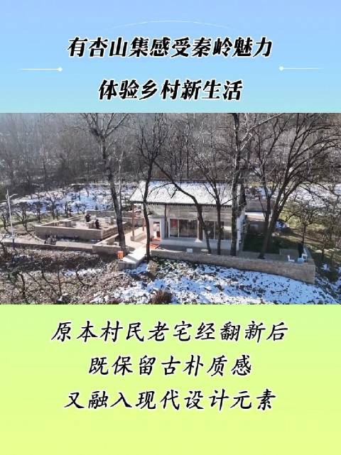 有杏山集感受秦岭魅力体验乡村新生活