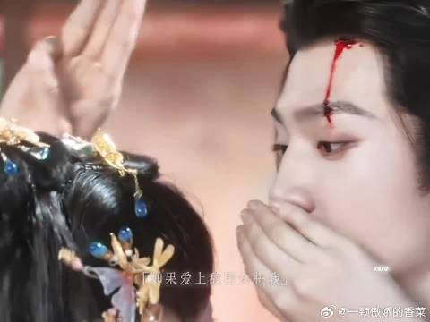 凤随歌这一刻天都塌了，心痛的无法形容了