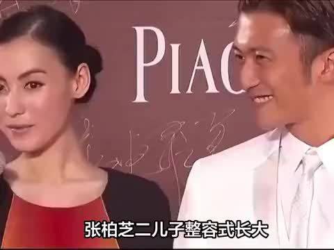 谢霆锋张柏芝离婚子女话题引讨论