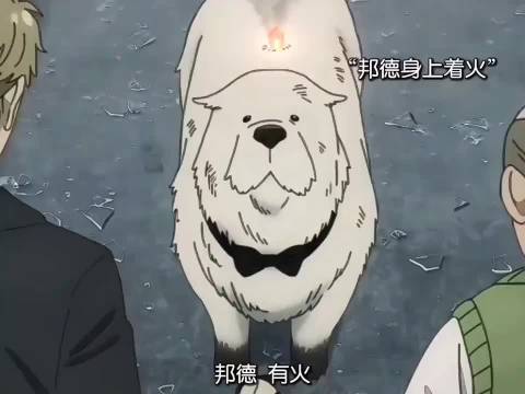 动漫推荐《间谍过家家》黄昏：我不笑，我可是专业间谍