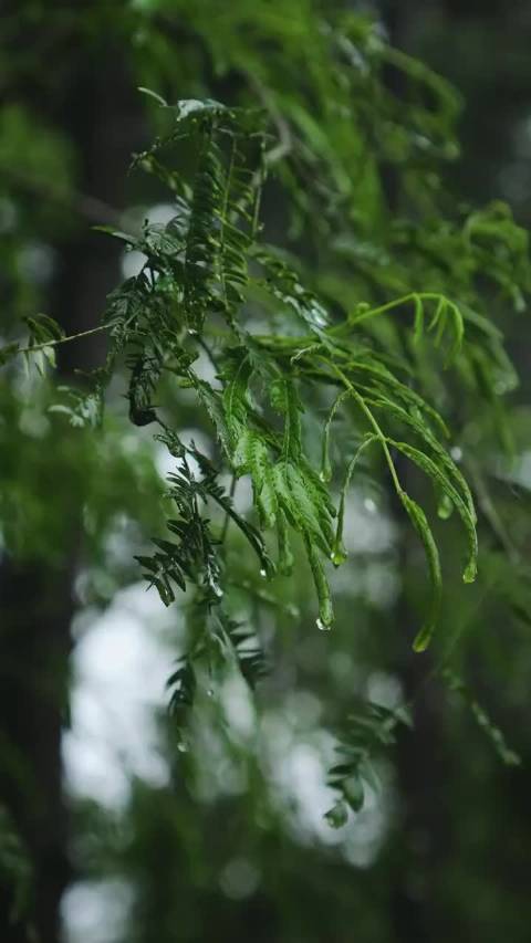 我的天哪，真的假的，好吓人