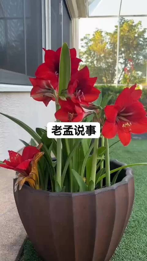 杨超越全黑斜肩裙亮相,倪妮拥抱曼妮芬庆三十芳华