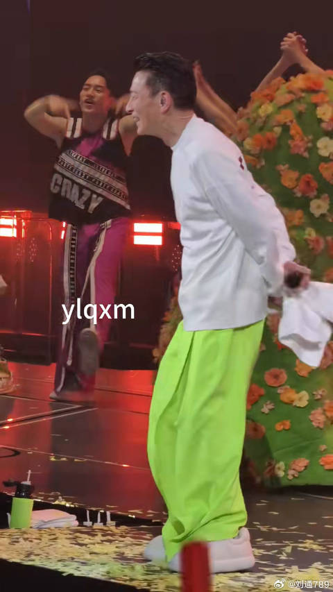 刘德华香港演唱会