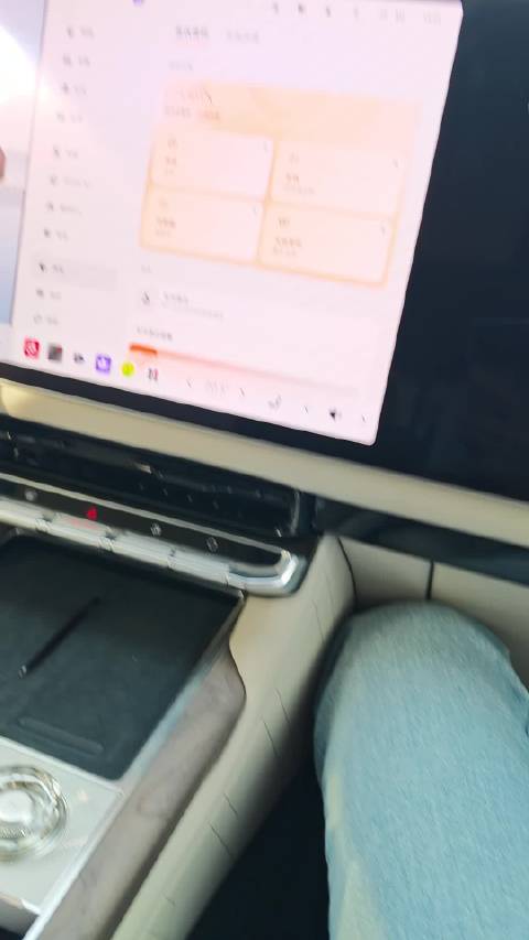 极氪9X音响体验获赞，手机难录真实效果