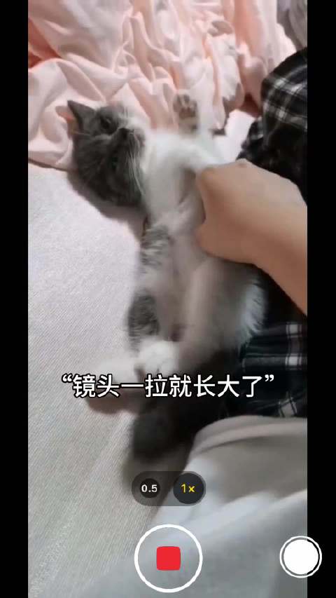 宝宝你长大成了卡车