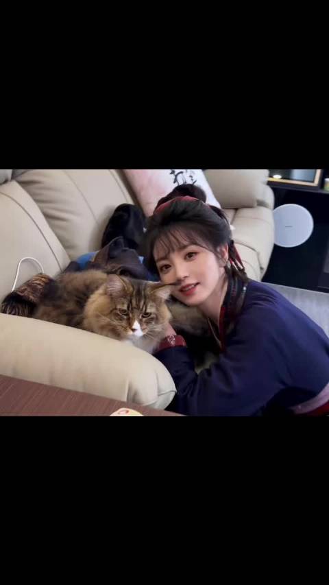 这么可爱的小猫竟然有两只