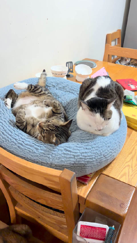 黎明前的黑暗很难熬，可是那是日出前的必经之路