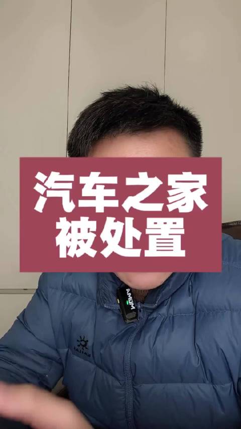 陈震目睹汽车之家被处置时，内心会泛起怎样的涟漪？