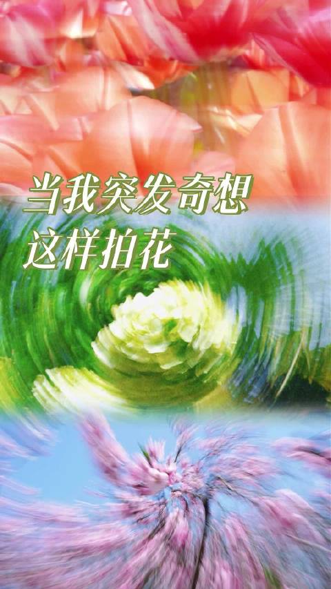 春天来合肥拍花吧