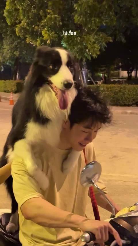 YinWar骑摩托带Sammer继续前行