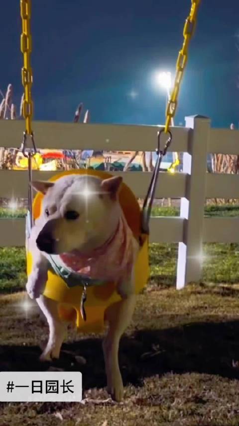 小北荡秋千中 春游季