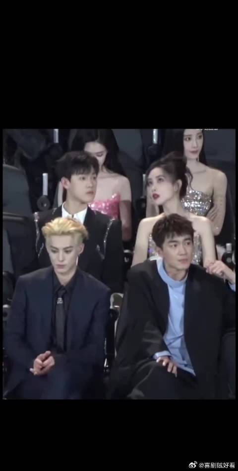 还有新视角豹豹猫猫！我看谁还没看过？！他们的缘分太深了