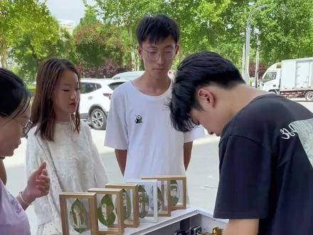 实践反复验证：那些看似微不足道的小型项目，常常蕴藏着惊人的利润空间！