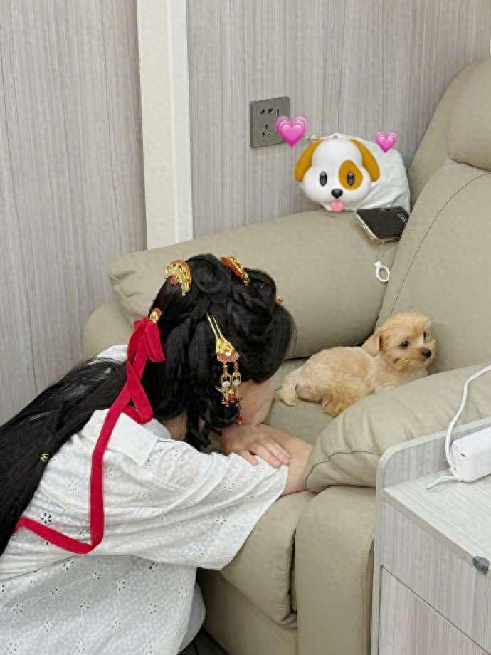 陈都灵:从虚拟铲屎官到猫系少女的宠物情缘