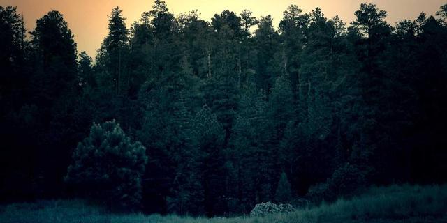 短剧撞脸迪丽热巴,别甩锅AI——AI只是工具,责任在人