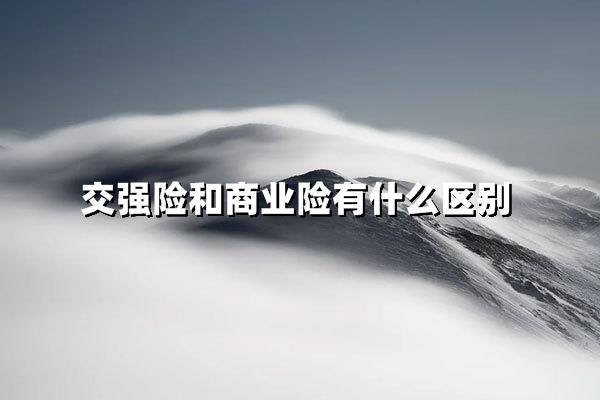 交强险VS商业险:1秒分清哪些必须买哪些能救命_沃保保险网