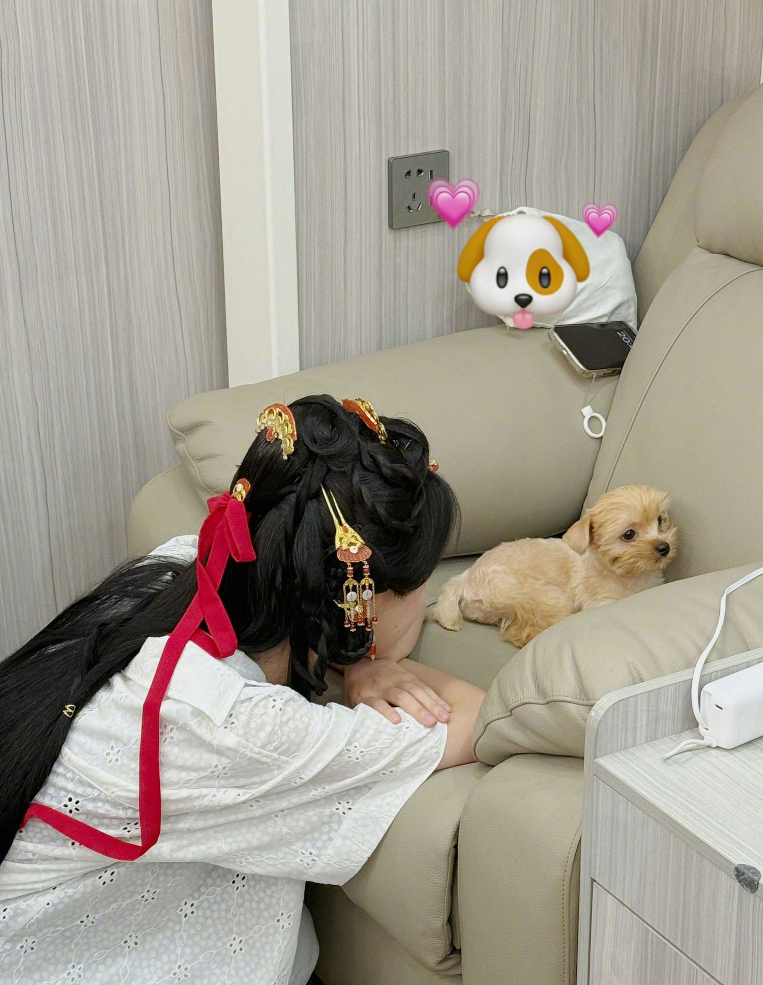 [陈都灵][新闻]250629 陈都灵收获狗狗小吉,粉丝送上祝福与期待——本命星新闻