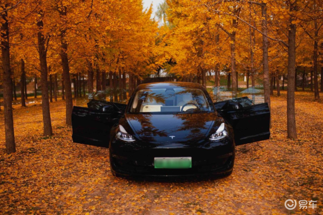特斯拉Model 3荣登荷兰2025年二手电动车榜首