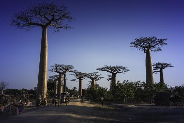 男子在非洲开手机网吧生意火爆_宁静姿态